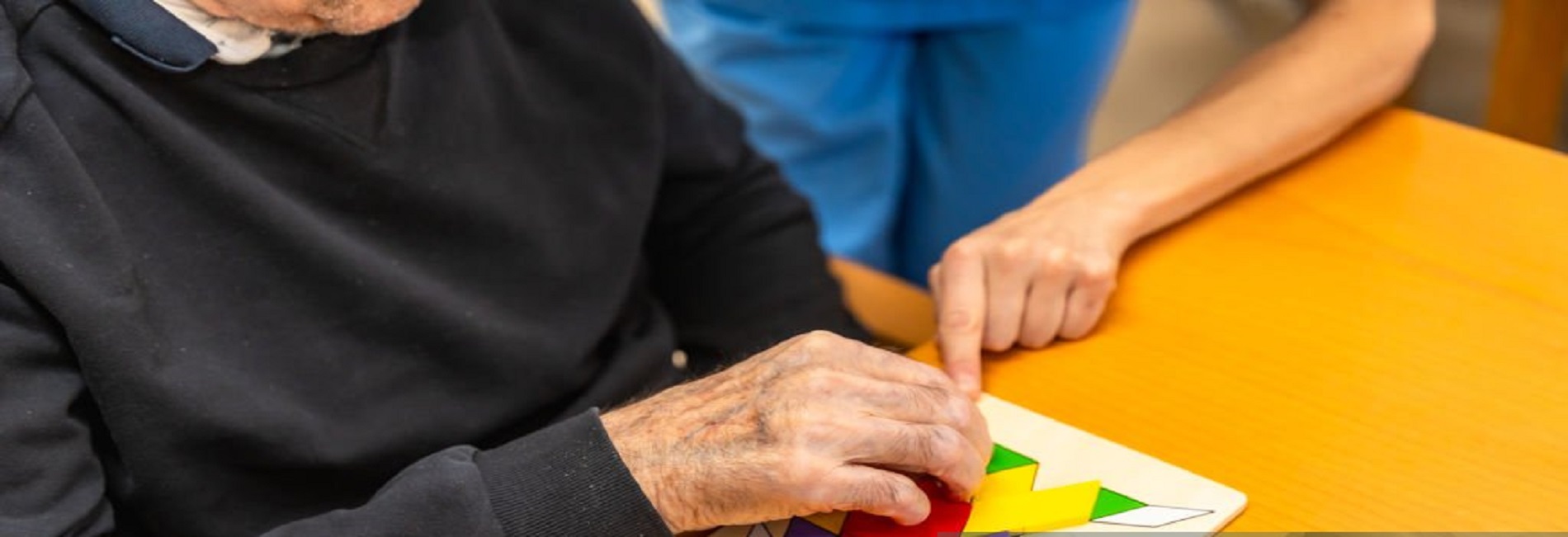 Técnico Superior en Pedagogía de Atención al Adulto Mayor