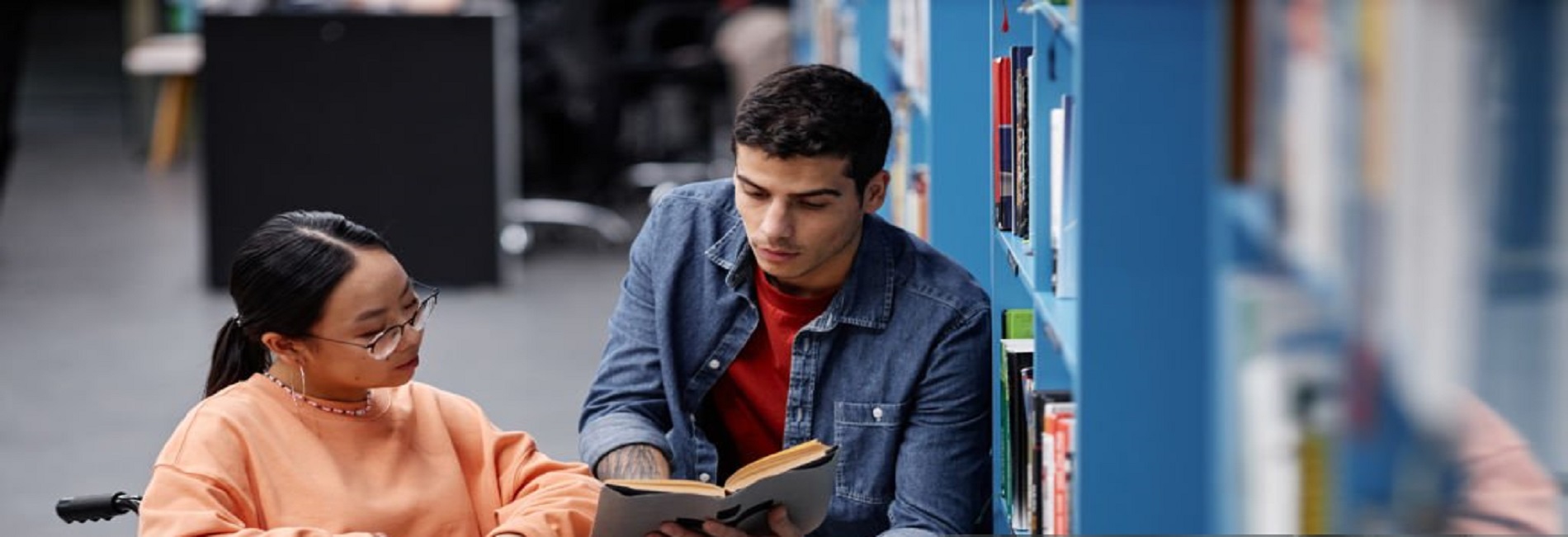 Técnico Superior en Educación Especial Inclusiva